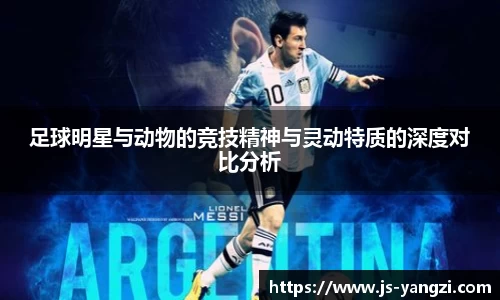 足球明星与动物的竞技精神与灵动特质的深度对比分析
